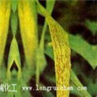 農(nóng)作物缺鋅的各種癥狀 農(nóng)作物缺鋅的各種癥狀